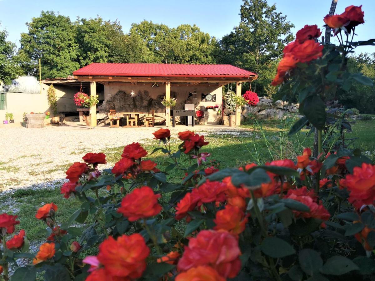 Villa Salvia - Holiday House With Pool - Jurdani Zewnętrze zdjęcie